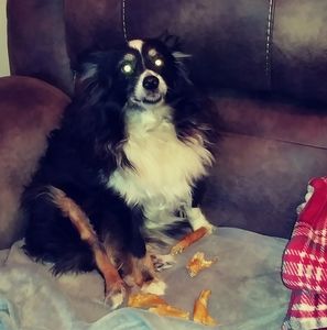 Meet your Posher, Jana